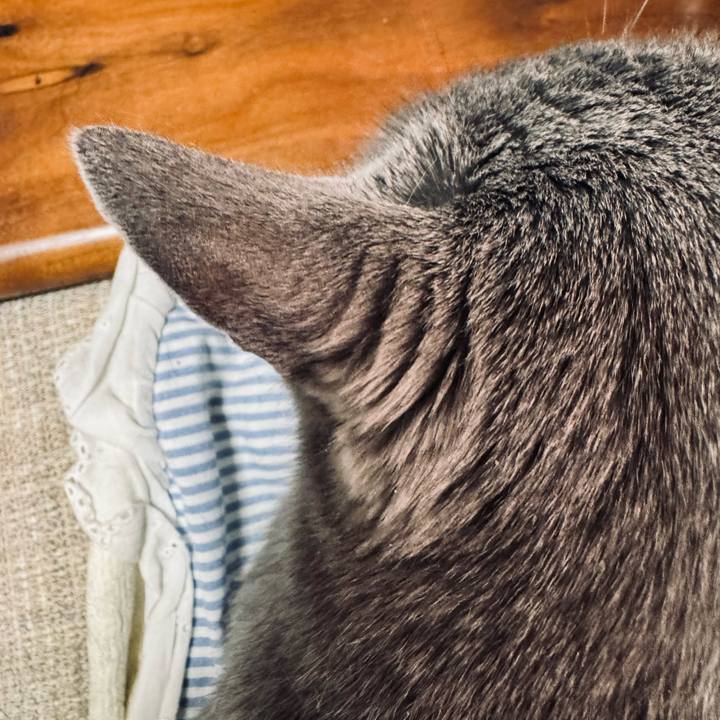 706fb611 c923 44cb adeb 27b22f05143f 1775907554645