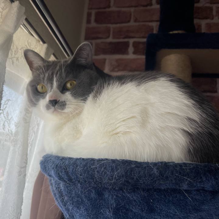 70700144 da47 4832 9931 68f2ed5c3ef5 1651627341591