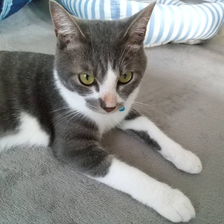 70700884 8680 42a6 8e3c 3aedbf24838b 1596236890313