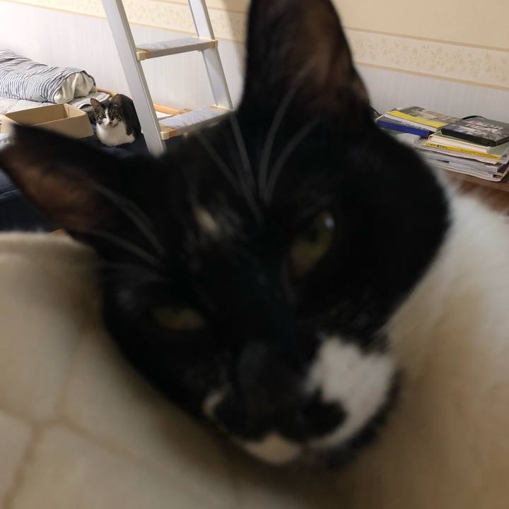 7070545a 3c86 4d35 853b 1c7235c76fb2 1539548062621