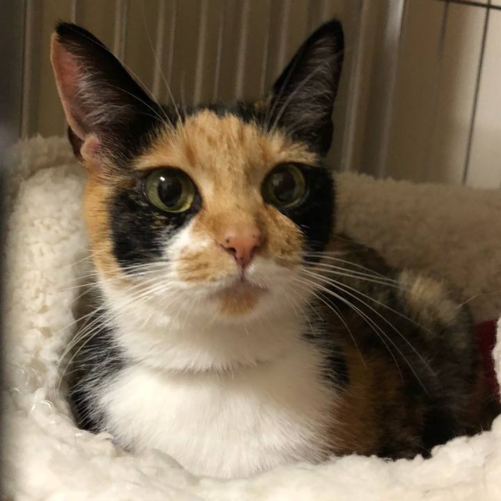 70708184 9351 4af7 9f83 a51749a055e4 1531060720249