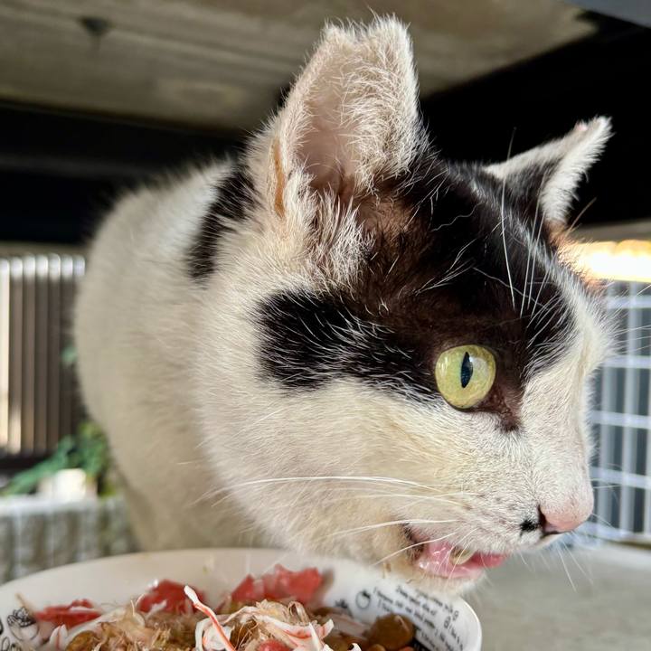 7070a37e 9d82 4e98 97c2 96e96b40a3de 1775716651075