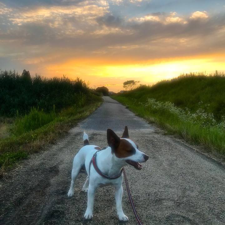 7070d0f9 364d 44d8 8308 fb5ba7cbe0d5 1529319975171