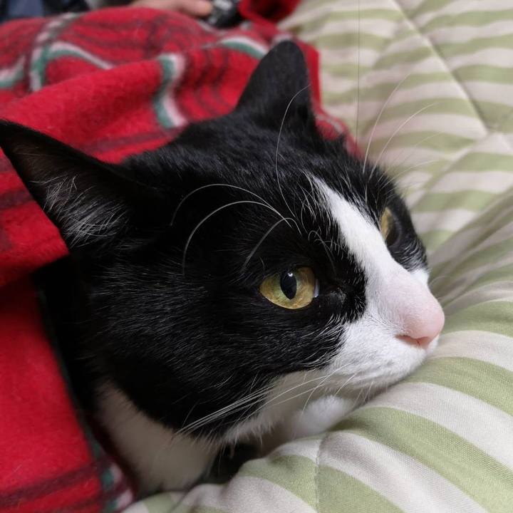 7070d969 ccb4 47b2 8dea fcc5b83d22b8 1642255431569