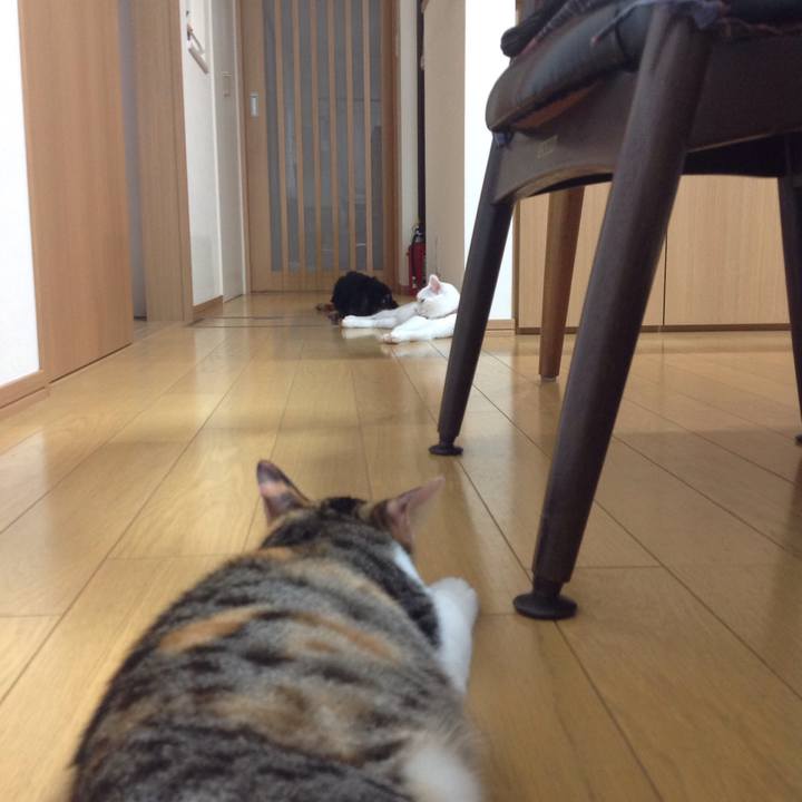 7070db85 cd4b 4714 8b41 f755ef35a759 1630103606558