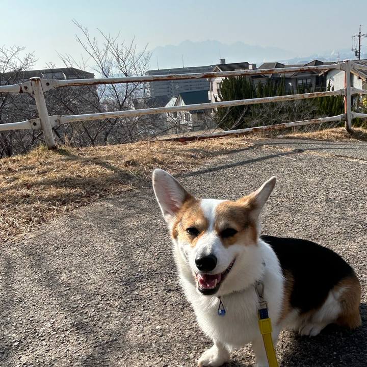 7070e41f 2082 485f 9cdc 17e11de77771 1768799768202