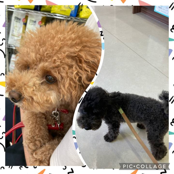 7071388a a6c7 4d18 87d6 40f165fff7b2 1627705455793