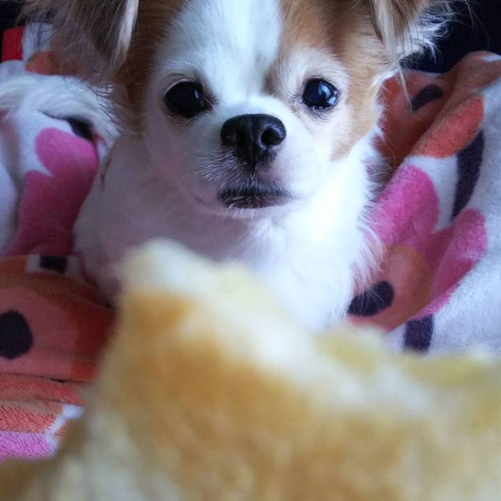 70714d01 b036 4d83 b163 95ad1c8b2083 1514612353945