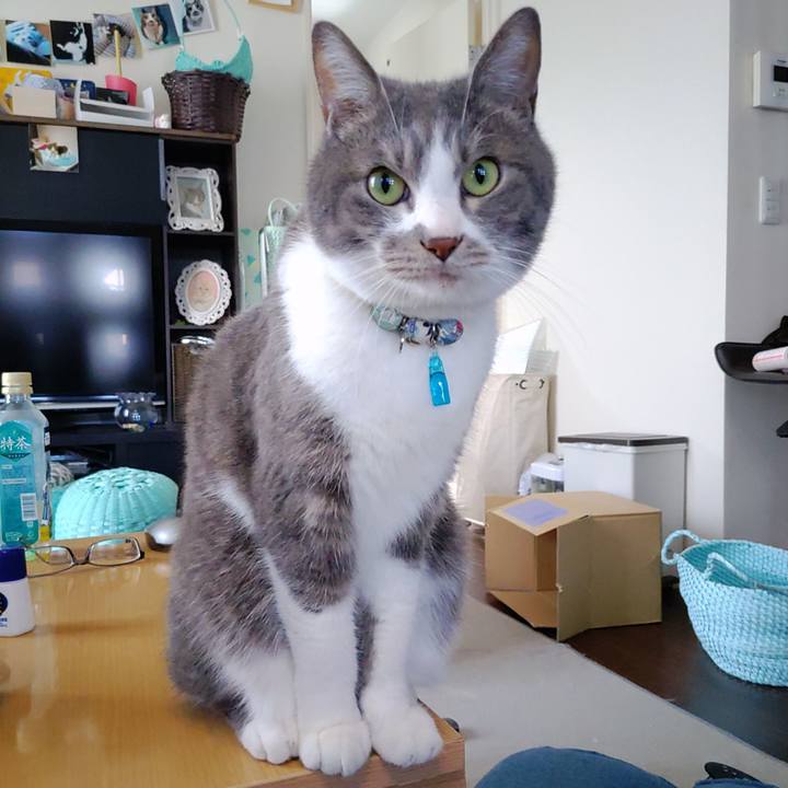 70715b7d 44f1 4c83 9494 7af745bcb5b6 1681712717788