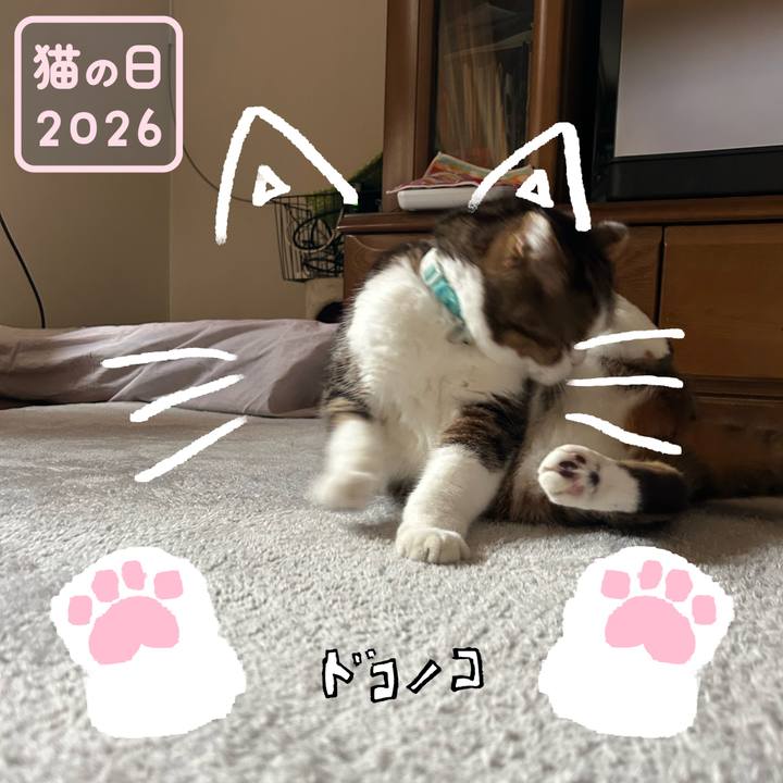 7071cd0b 8bce 4f15 9cb9 7de8e441fd66 1771715842097