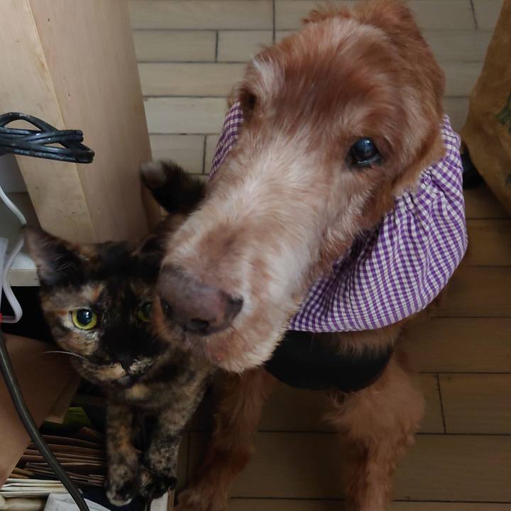 7071e1d0 5d21 47f0 8e3a e9afa0b6af80 1738930694429