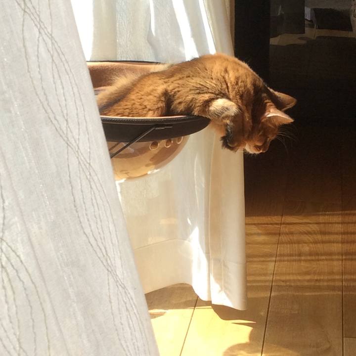 70720563 e3e1 4800 8545 822e9861ce78 1633400413736