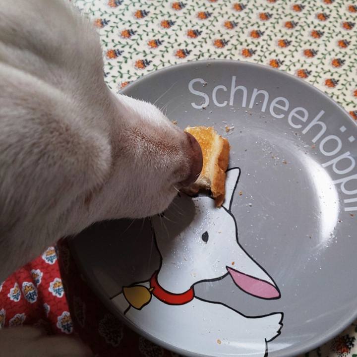 70726dbe c771 4a70 b140 d0747e6ff151 1550016516617