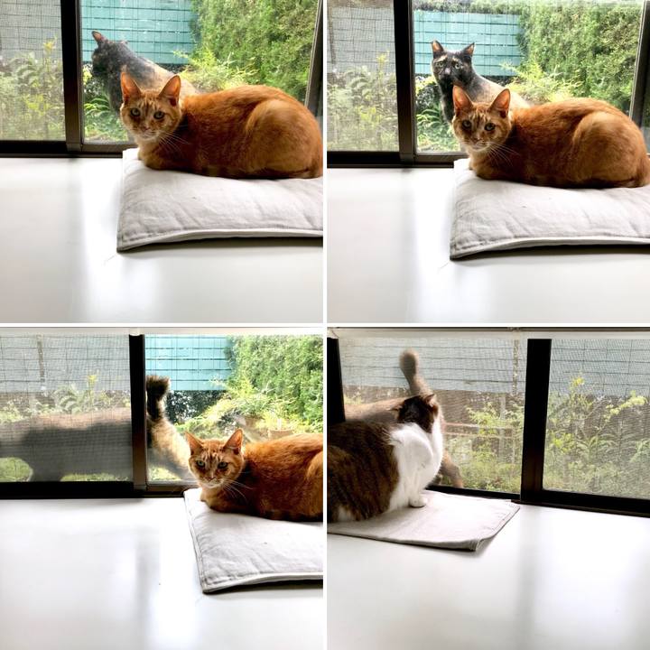 7072909d 5631 4236 a1f0 ab8e294fab54 1533705586925