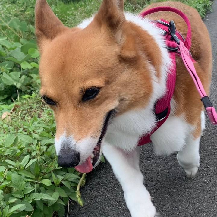 7072944e 18b9 4467 aa11 922ce3e321b1 1657763448618