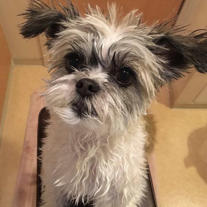 7072be3f 0da7 4437 a561 fcd61b6d572d 1530338393179