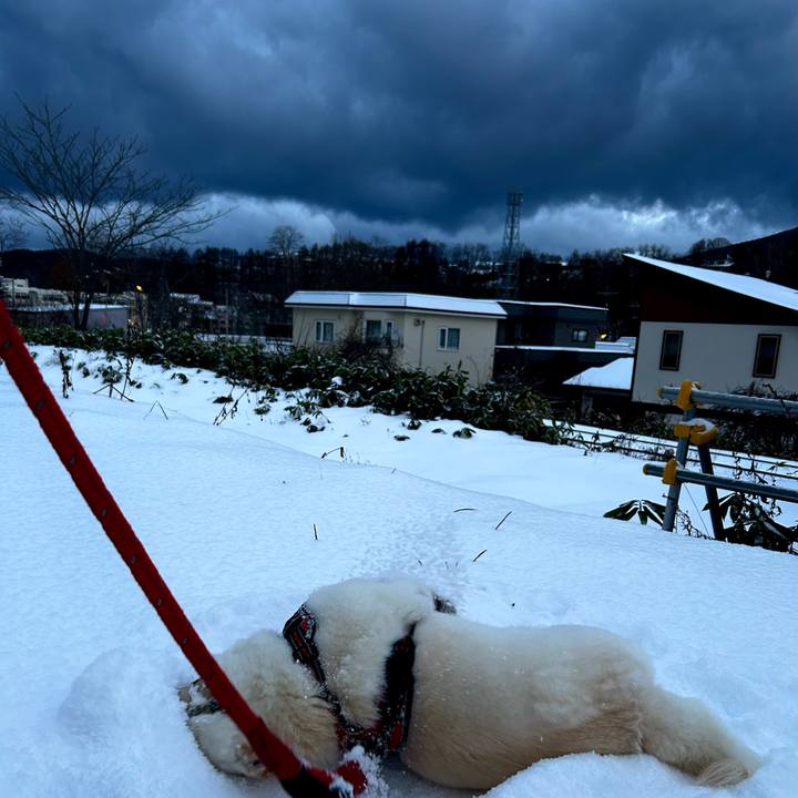 70730dc7 af76 4c27 9b94 ca321a1e3565 1702419727122