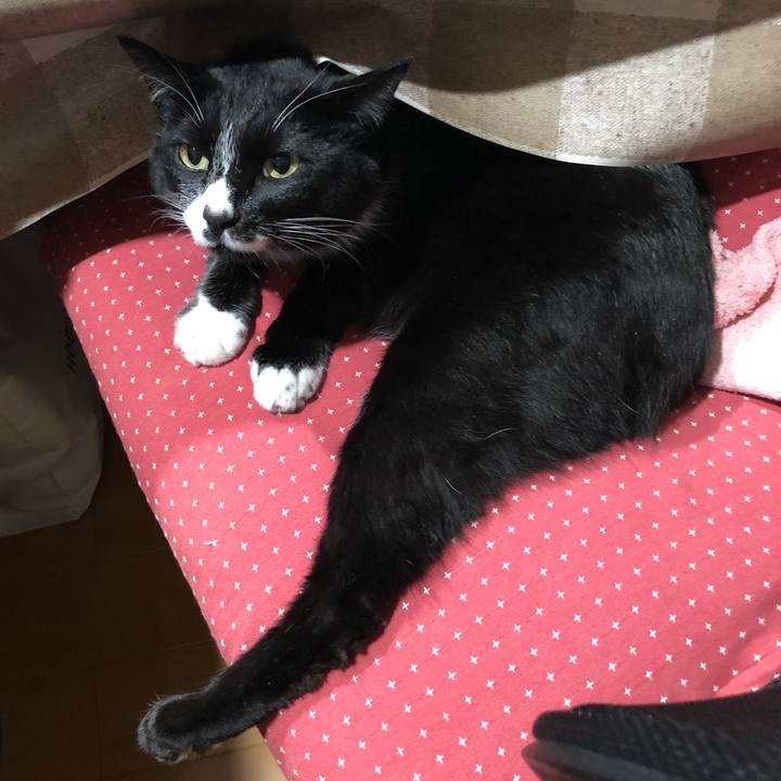 70735334 051e 4d50 87c8 8752c70ada6d 1608522434158