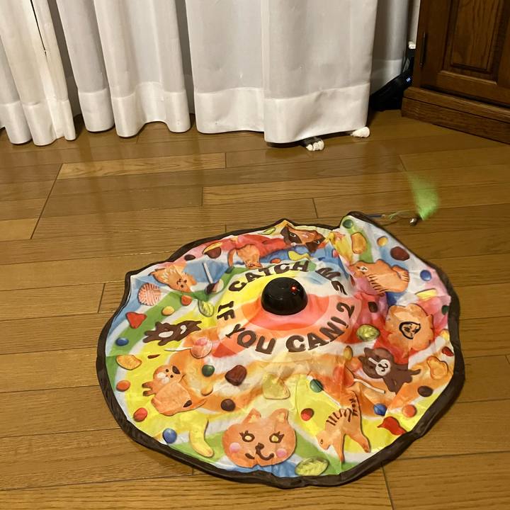 70735c92 47d2 4079 8cf0 c0669bac2790 1763110937386