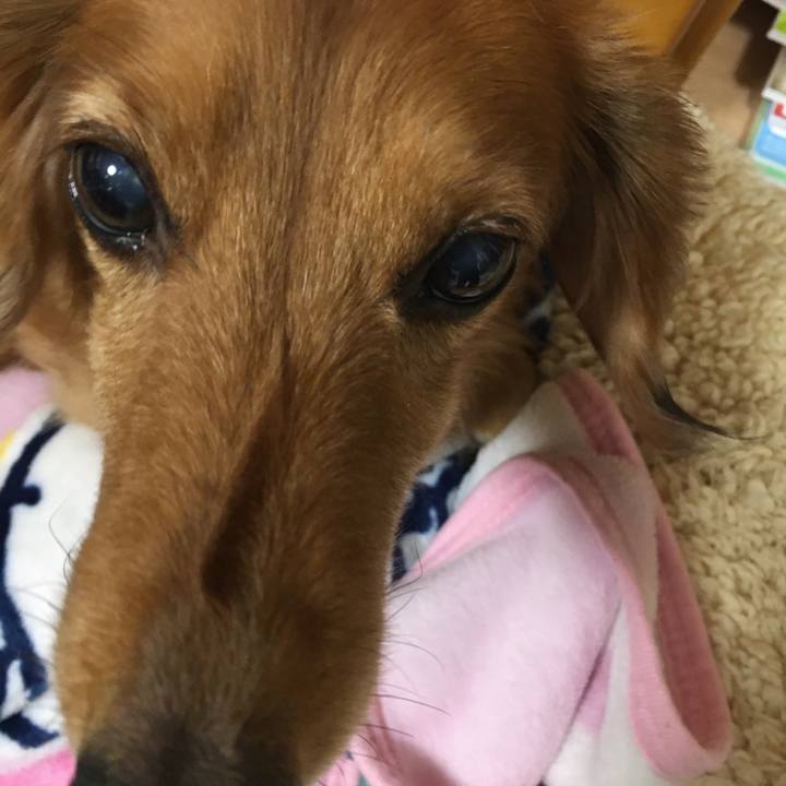 70736e54 0c81 46da 99c9 89c15e5e6df7 1576594384559