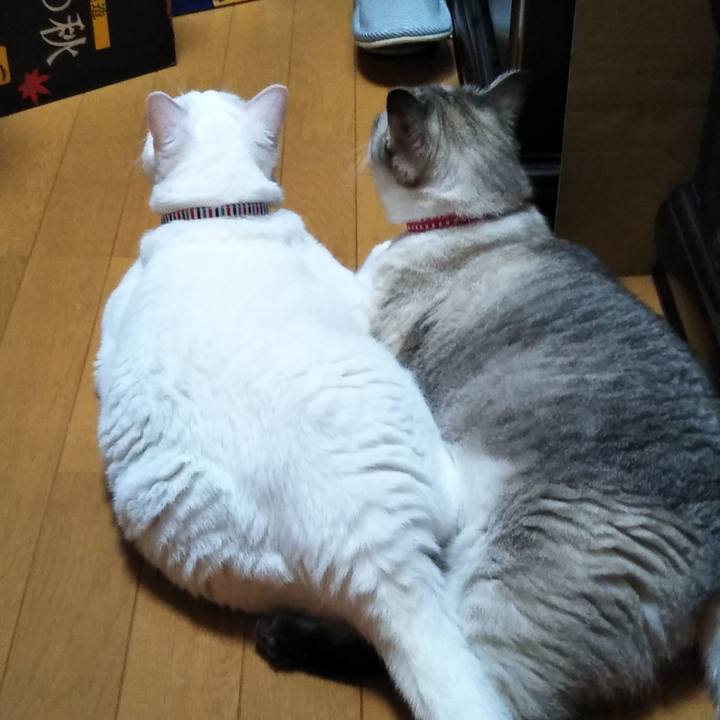 7073cefc c4f0 4eaa 87a9 5236d70ade17 1599056860551