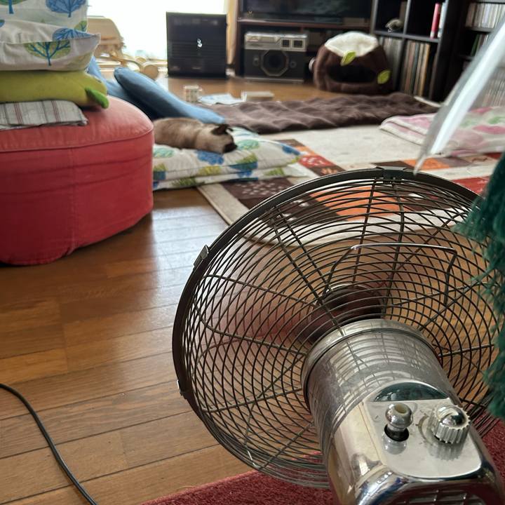 7073f1be acd9 4644 8296 240eb1a6654e 1688010072882