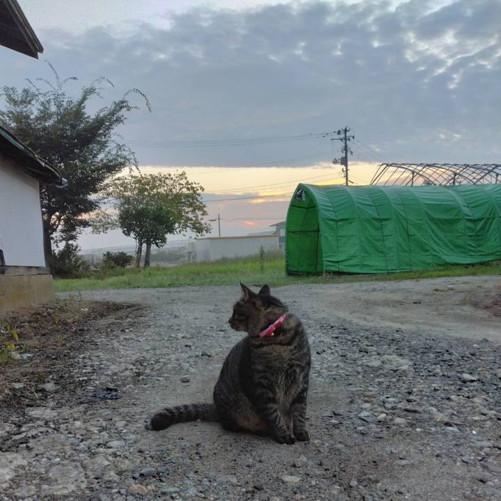 7073fa82 4933 4abc a933 70bd943b3ed5 1664832915612