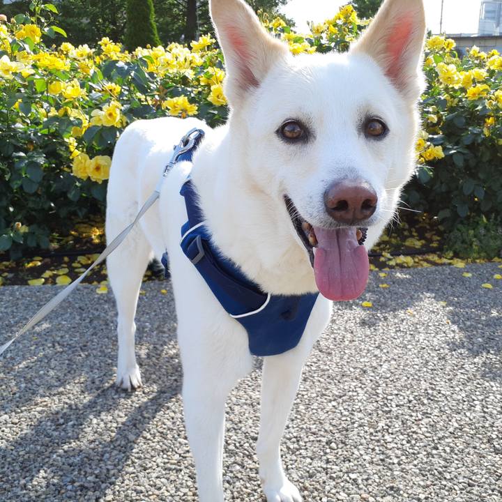 7074bf21 8e99 4d05 a352 8a6926c00242 1683257745877