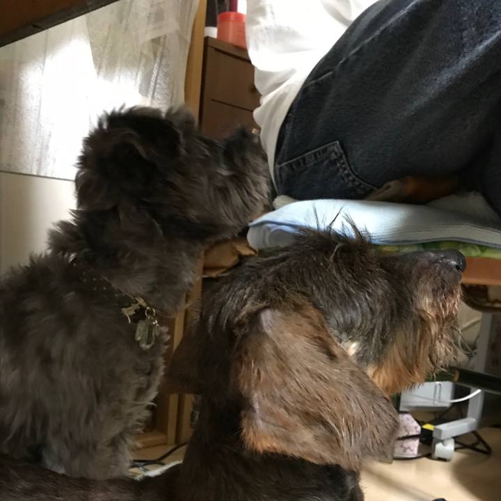 7074c014 4b50 4185 a9fb 029631201fd9 1528121112681