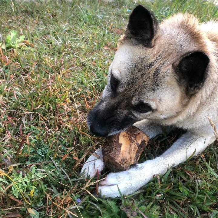 7075110d afbd 414e b77d fbf8d8b2c536 1541502069763