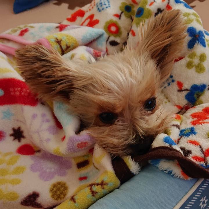 70751c70 a980 413a ad06 ae402fa9d061 1571539867021