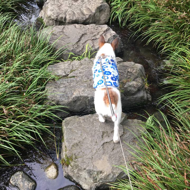 70760b0a 3ea3 4c69 97ff 21aebe413a9f 1592782147775