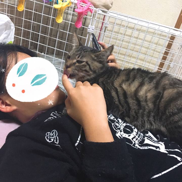 707632ac 59a8 429b 86a1 fce9a788a60f 1542785202328