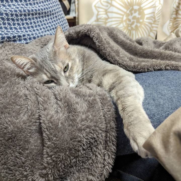 70766a46 3a59 4f0e 8959 cd76f2588bb0 1708918781214