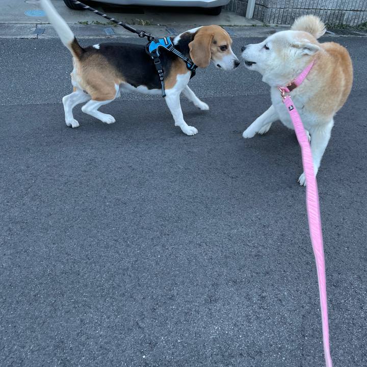 70767e13 0f29 4764 a761 770ce947304f 1645055053969