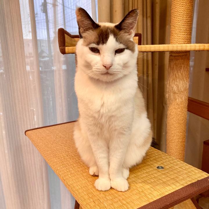 707692a8 cce1 4d00 a149 48cb2347d4dd 1671334945036