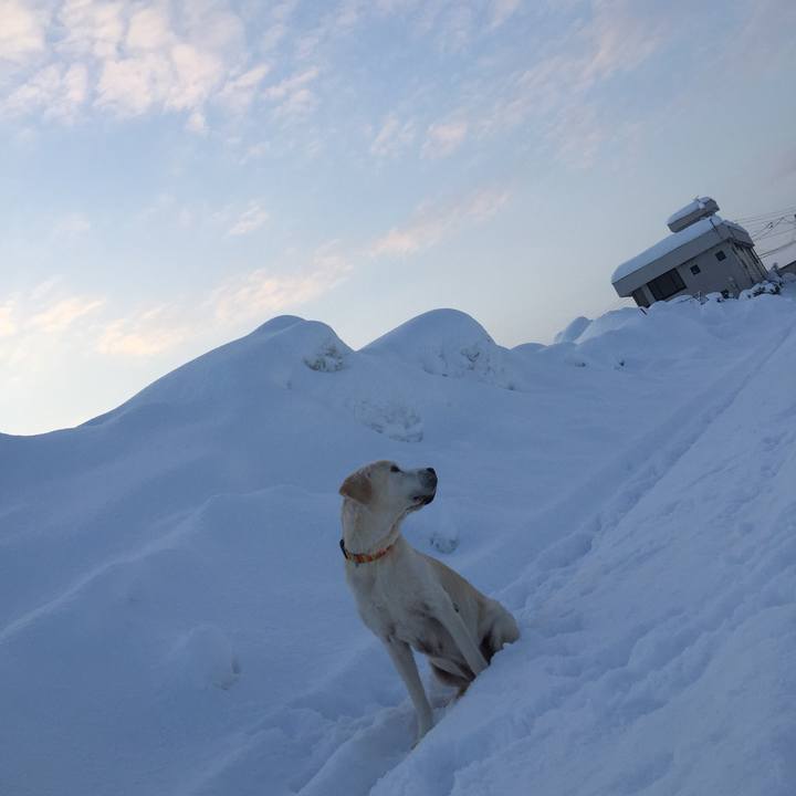 7076a80e 4db5 41e2 91e3 f7b53240dbbd 1690287675321