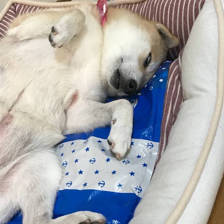 7076cd42 bcc0 4122 b1b5 8a6f9024c476 1530339544537