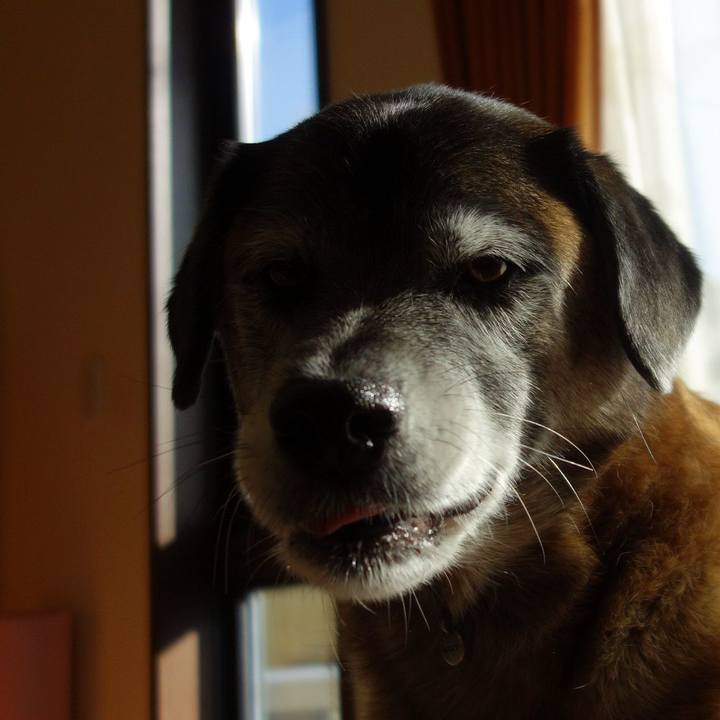 7076f49f b063 4142 b7d6 a96ad64bdfd6 1512189827162