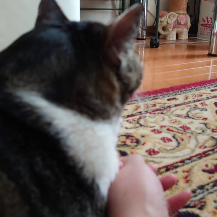 707709bc 3e70 44de 9c8e 7a7b1e2d2ea6 1644369125086