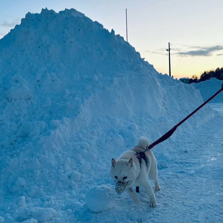 70770c69 0135 4cc3 83cb 4b88d54c2dfb 1767910883152