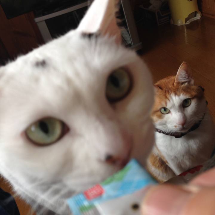 7077afb0 cac2 4bc9 b48c b79b0eb0f888 1553149161252