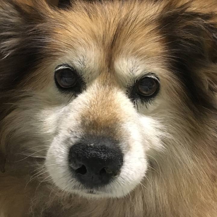 7077be23 4b64 4ce9 95f6 8fc93195c9dd 1588251687028