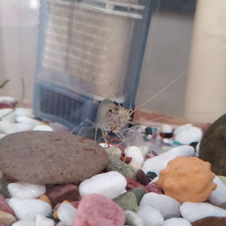 7077c4fd 6f7e 484c 9aa7 cb649248ed78 1700926777919