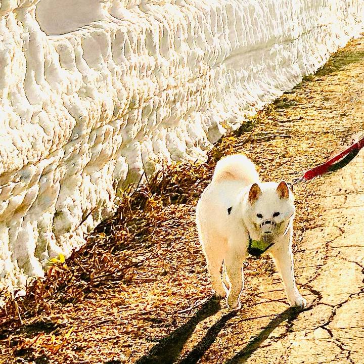 7077c90e eefe 4854 b44f 1438d21faf16 1742769367913