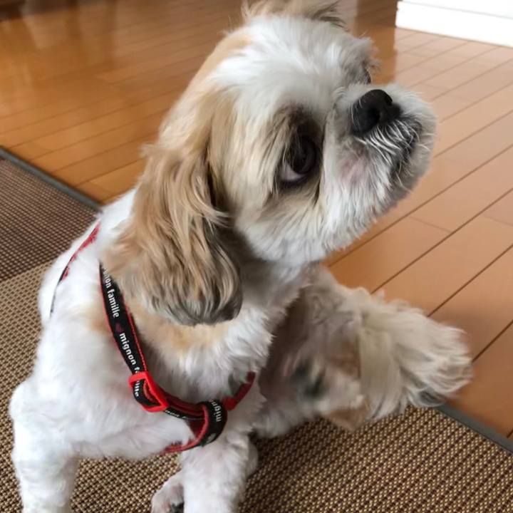 7077eb66 8aec 47fd 9fea 941d56e37fb4 1569275724597