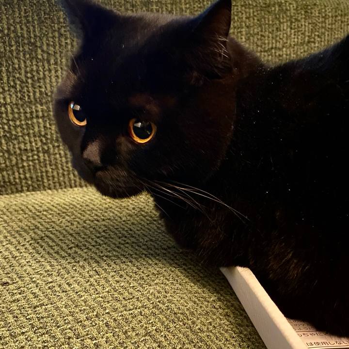 70781b24 afdf 4323 8f7f 9e84e3f32b2a 1669275392420