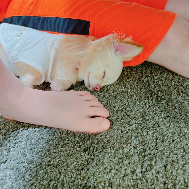 70783e93 bf74 42c7 a6d2 d4aad7e295a0 1651977256407