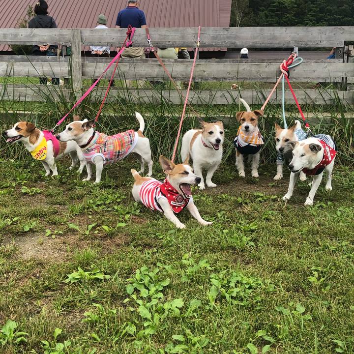 70788fc3 819f 4676 a5b2 c397e5a3d97b 1569161041035