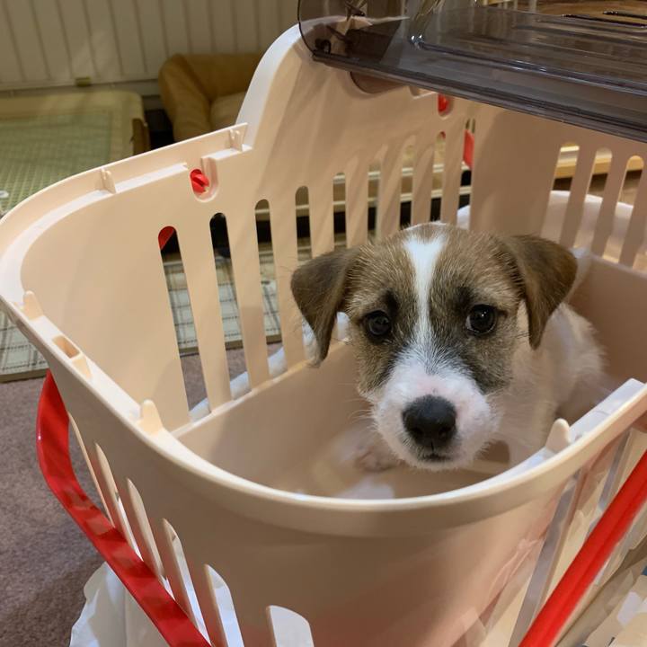 7078a47d 241d 40e1 b9bb b181faf0068a 1653568597619